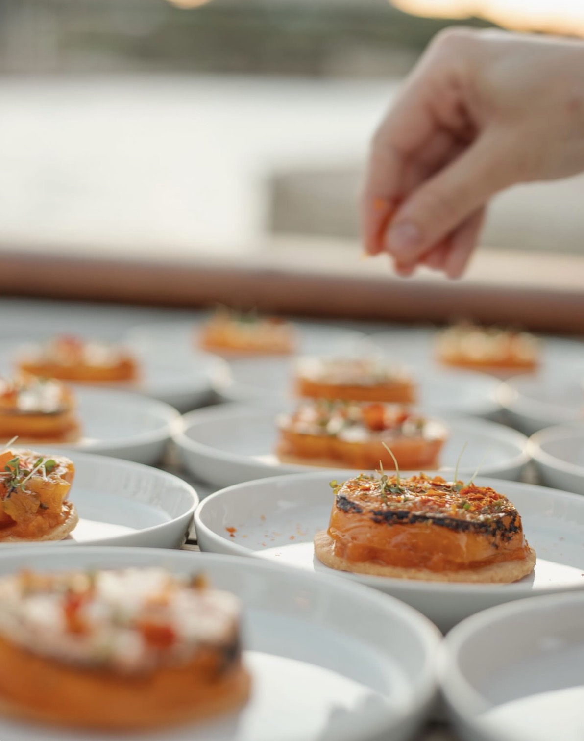 ​CHEF CUISINIER A DOMICILE 